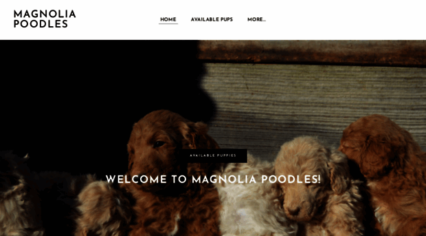 magnoliapoodles.com