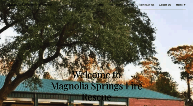 magnoliaspringsfire.com