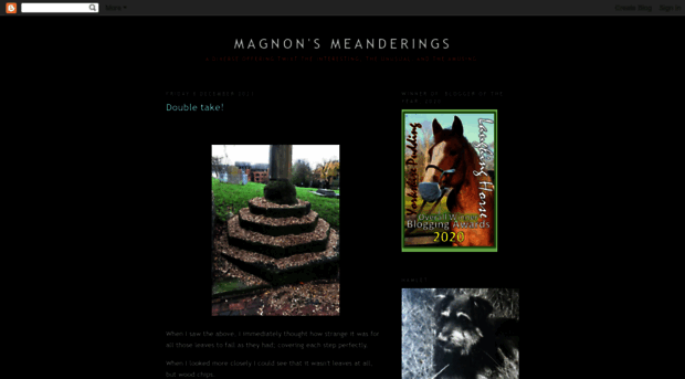 magnonsmeanderings.blogspot.fr