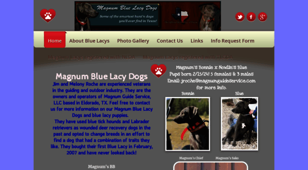 magnumbluelacydogs.com