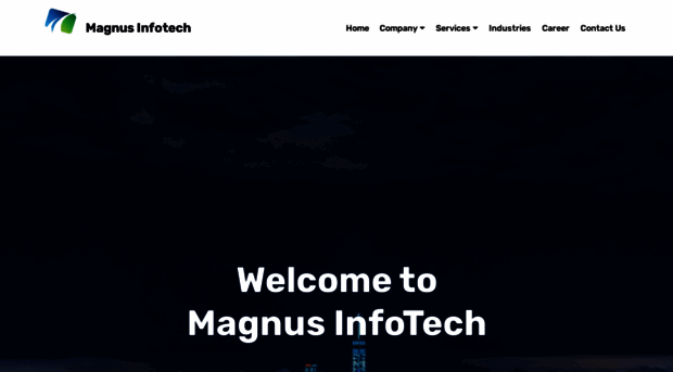 magnusinfotech.com