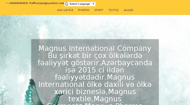 magnusinter.com