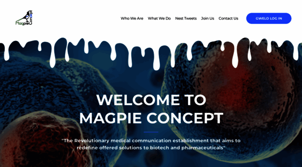 magpie-concept.com