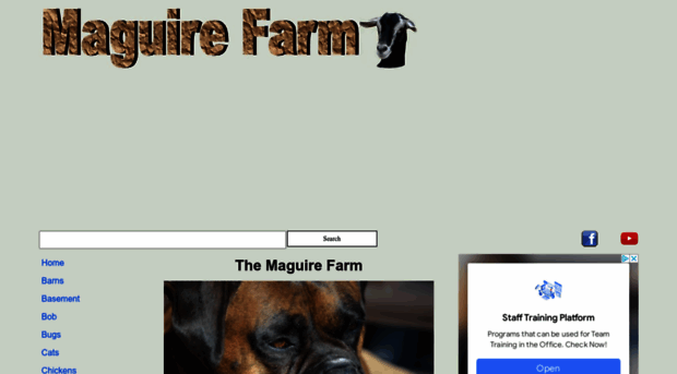 maguirefarm.com