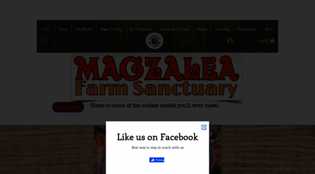 magzaleasanctuary.org