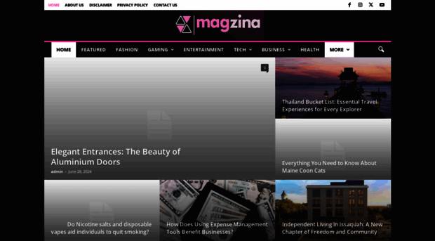 magzina.com