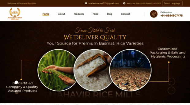 mahavirricemill.com