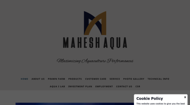 maheshaqua.com