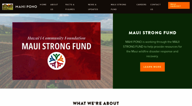 mahipono.com