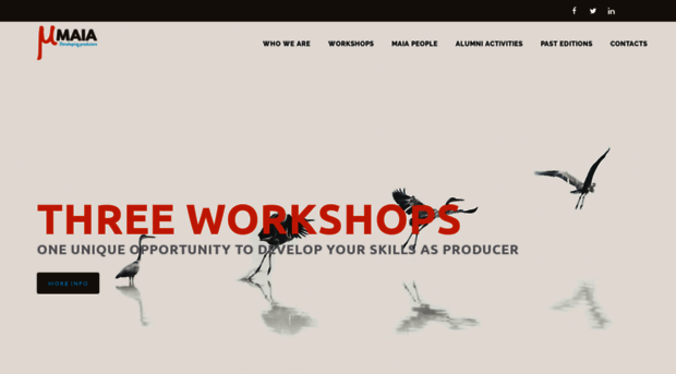 maiaworkshops.org