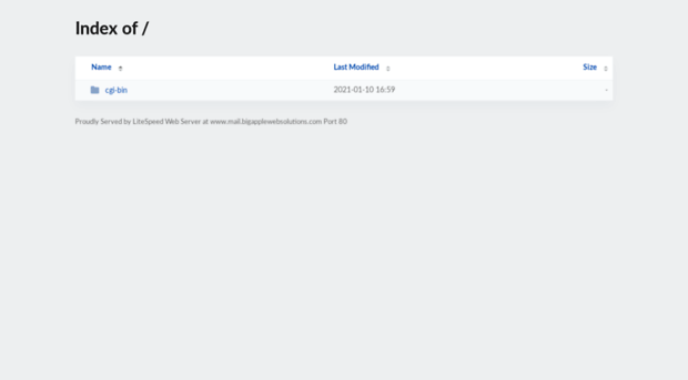 mail.bigapplewebsolutions.com