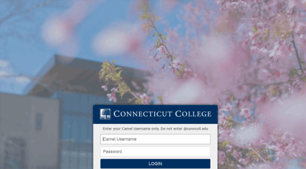 mail.conncoll.edu