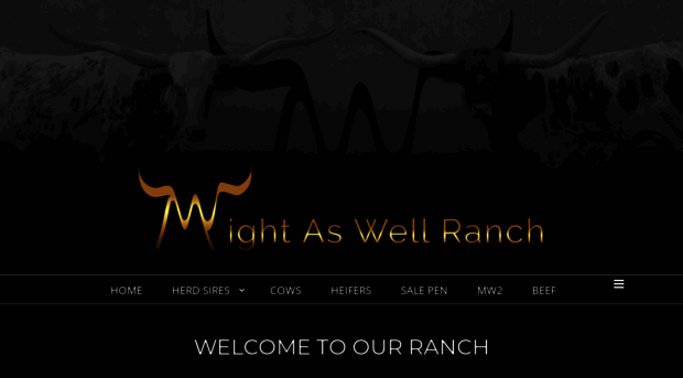 mail.mightaswellranch.com