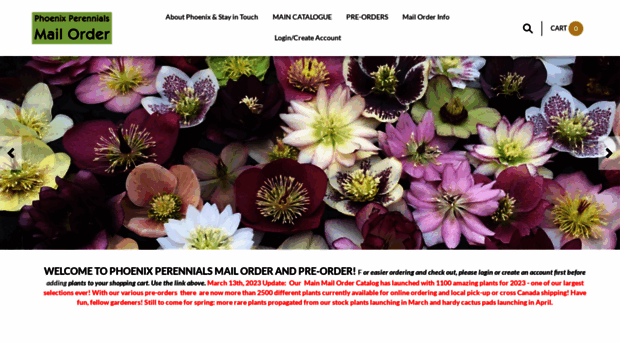 mailorder.phoenixperennials.com