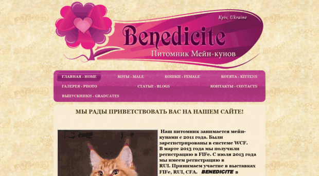 maine-coon-rabin.com.ua