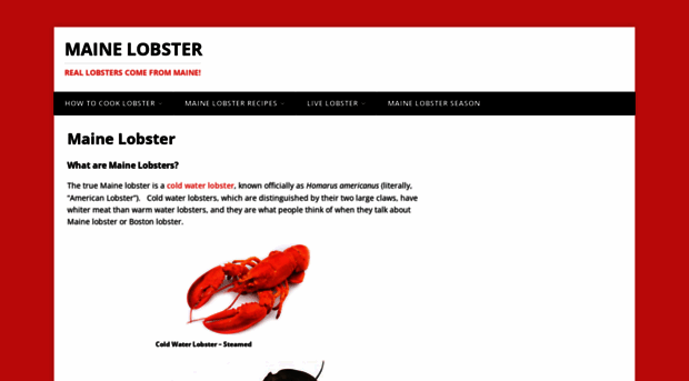 maine-lobster.com