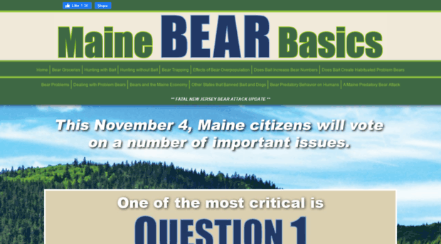 mainebearbasics.com