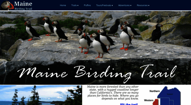 mainebirdingtrail.com