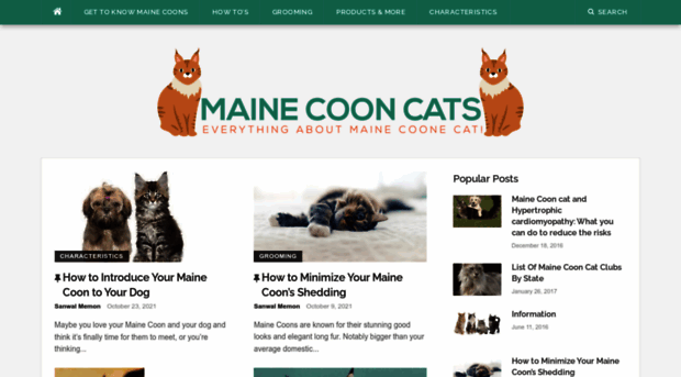 mainecoonadmirer.com