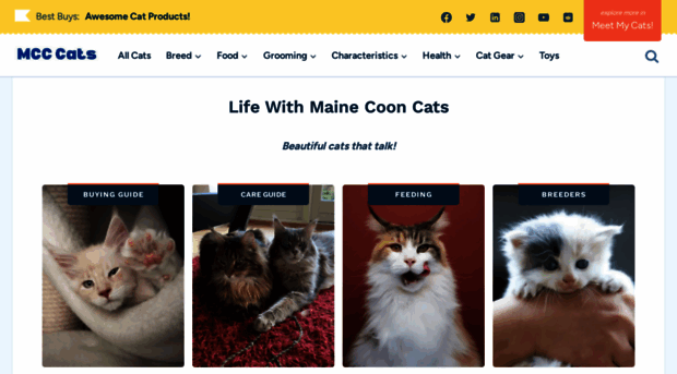 mainecooncentral.com