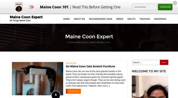 mainecoonexpert.com