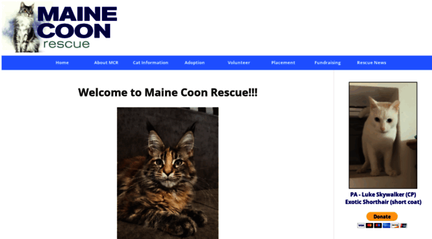 mainecoonrescue.net