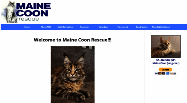 mainecoonrescue.rescuegroups.org