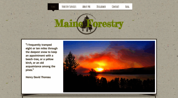 maineforestry.net