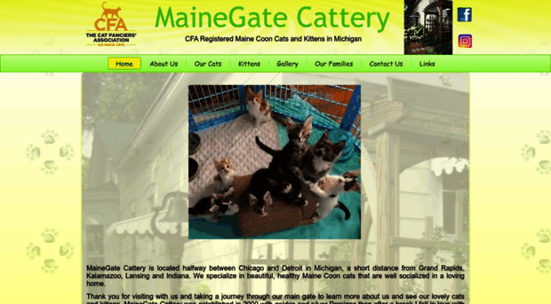 mainegatecattery.com