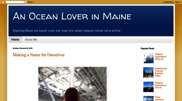 maineoceanlover.blogspot.com