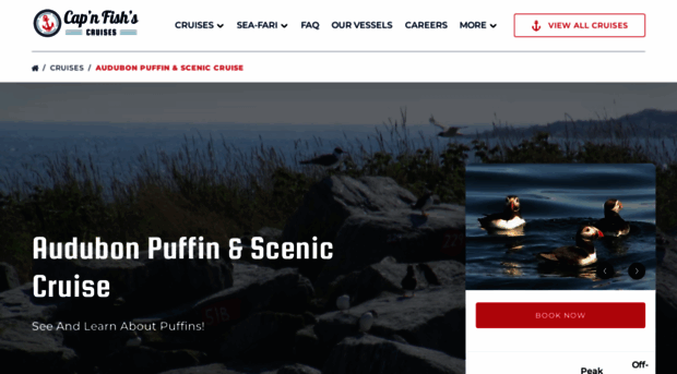 mainepuffin.com