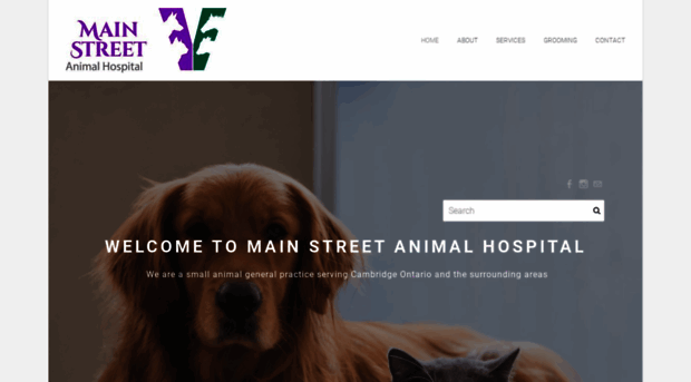 mainstreetanimalhospital.ca