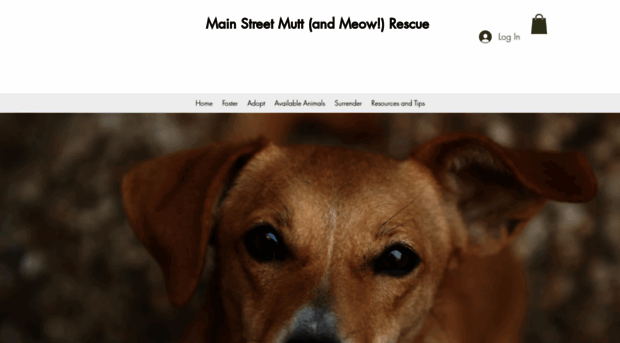 mainstreetmuttrescue.com