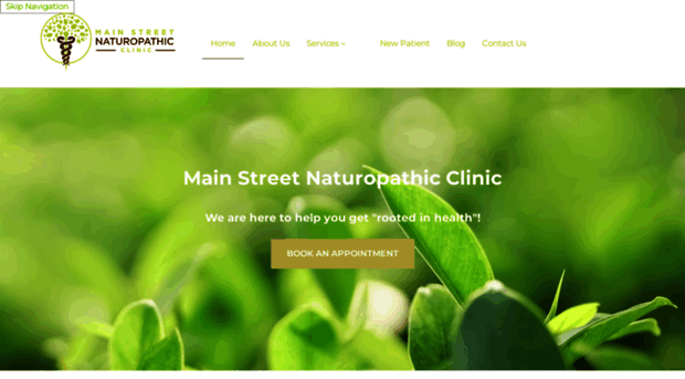 mainstreetnaturopathicclinic.ca