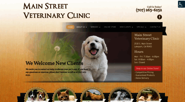 mainstreetvet.org