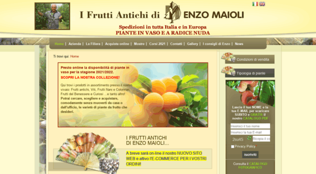 maiolifruttiantichi.it