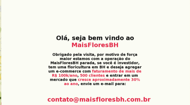 maisfloresbh.com.br