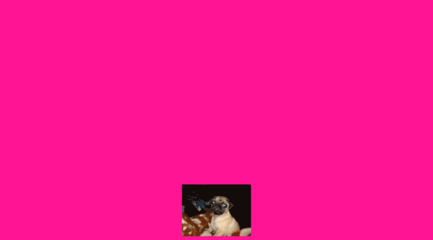 maja-mops.hunde-homepage.com