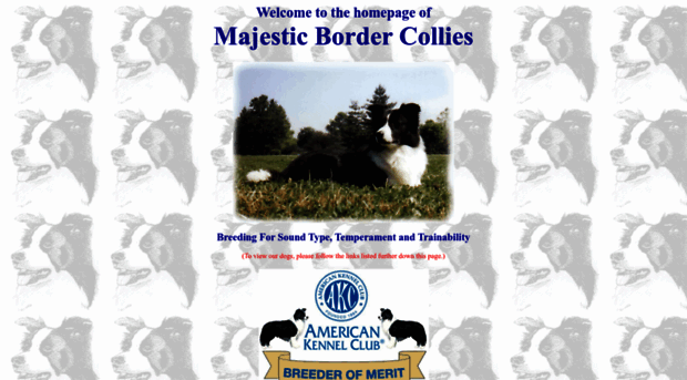 majesticbordercollies.com