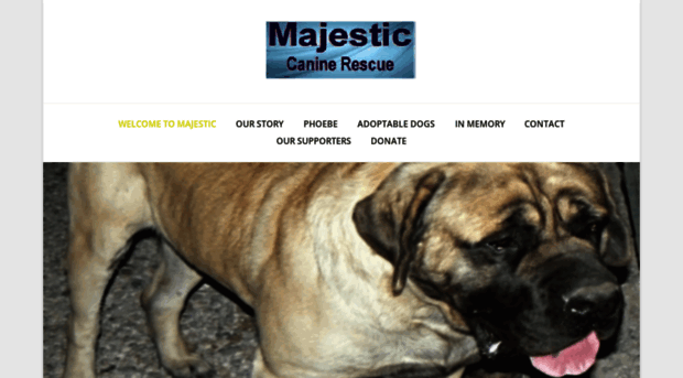 majesticcaninerescue.squarespace.com