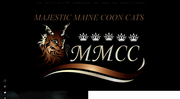 majesticmainecooncats.com