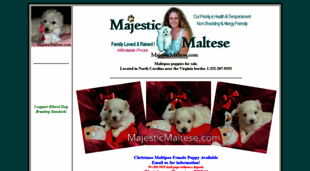 majesticmaltese.com