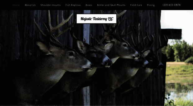 majestictaxidermy.com