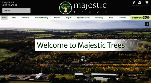 majestictrees.co.uk