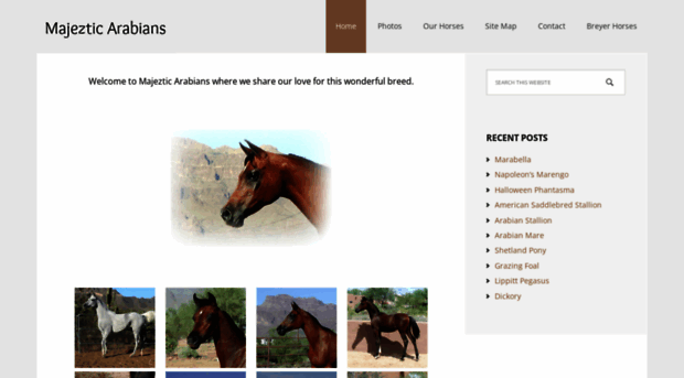 majeztic-arabians.com