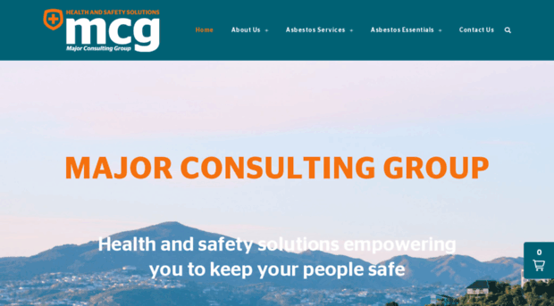 majorconsulting.co.nz