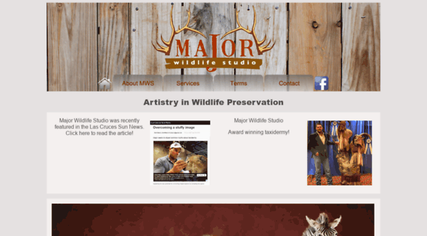 majorwildlifestudio.com