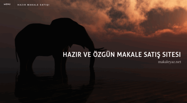 makaleyaznet.weebly.com