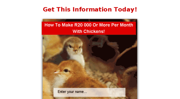 make-money-with-chickens.co.za