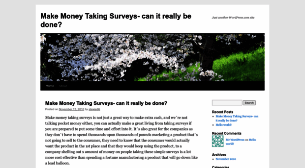 makemoneytakingsurveys1.wordpress.com